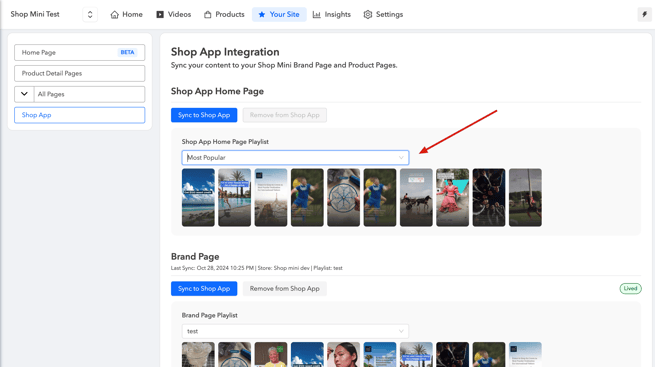 Leverage Firework Videos in Shop App8
